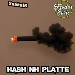 HASH NH PLATTE (feat. Freder Seric & Jiggo2027) - Single by TechnoFetzer & Snake16 album reviews, ratings, credits