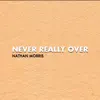 Never Really Over - Single album lyrics, reviews, download