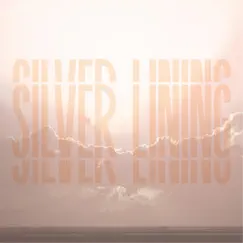 Silver Lining - Single by Zitten album reviews, ratings, credits