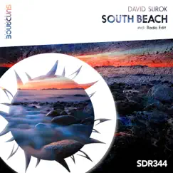 South Beach - Single by David Surok album reviews, ratings, credits