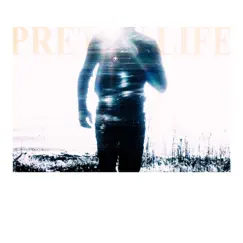 Pretty Life - Single by Terrell Morris & Free n Losh album reviews, ratings, credits
