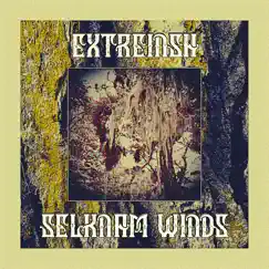 Selknam Winds - EP by Extreinsh album reviews, ratings, credits