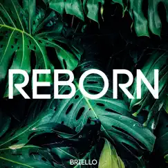 Reborn - Single by Briello album reviews, ratings, credits