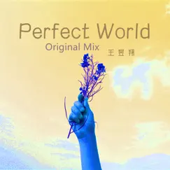Perfect World - Single by 王昱翔 album reviews, ratings, credits