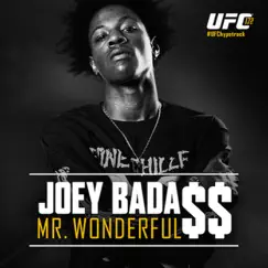 Mr. Wonderful - Single by Joey Bada$$ album reviews, ratings, credits