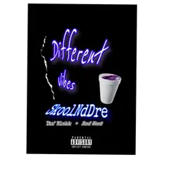 Different Vibes - Single by SkoolNdDre album reviews, ratings, credits