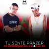 Tu Sente Prazer - Single album lyrics, reviews, download