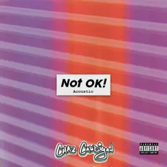 Not OK! (Acoustic) Song Lyrics