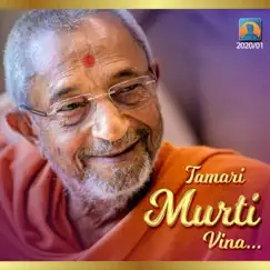 Tamari Murti Vina (feat. Abhas Joshi) Song Lyrics
