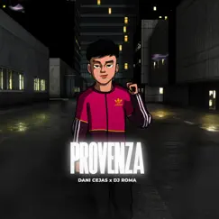 Provenza (Remix) - Single by Dani Cejas & DJ Roma album reviews, ratings, credits