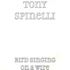 Bird Singing on a Wire album lyrics, reviews, download