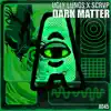 Dark Matter - Single album lyrics, reviews, download