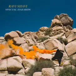 Special Hazards by Ravi Shavi album reviews, ratings, credits