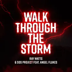 Walk Through the Storm (feat. Angel Flukes) Song Lyrics
