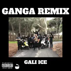 Ganga (Remix) - Single by Gali Ice album reviews, ratings, credits