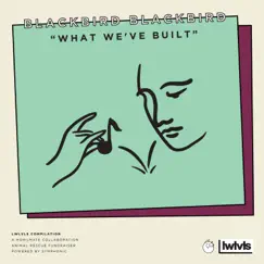 What We've Built - Single by Blackbird Blackbird album reviews, ratings, credits