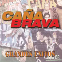 Grandes Éxitos by Caña Brava album reviews, ratings, credits