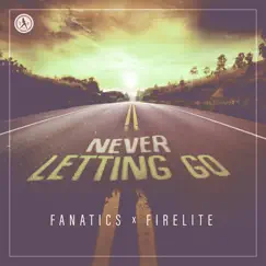 Never Letting Go - Single by Fanatics & Firelite album reviews, ratings, credits