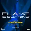 Flame Is Burning (Remixes, Pt. 2) [feat. Sophia Omarji] - Single album lyrics, reviews, download