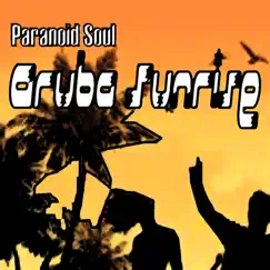 Aruba Sunrise - Single by Paranoid Soul album reviews, ratings, credits