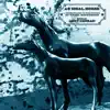 An Ideal Horse: A Soundtrack to the Poetry of Ancel Neuburger album lyrics, reviews, download