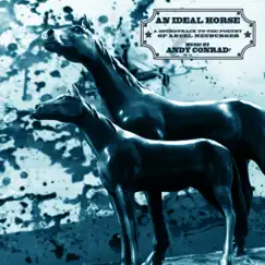 An Ideal Horse: A Soundtrack to the Poetry of Ancel Neuburger by Andy Conrad? album reviews, ratings, credits