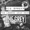 The Grey - Single album lyrics, reviews, download