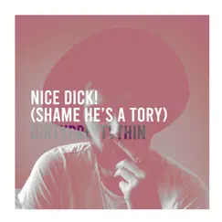 Nice Dick! (Shame He's a Tory) - Single by DirtyPrettyThin album reviews, ratings, credits