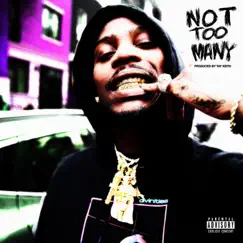 Not Too Many - Single by Flipp Dinero album reviews, ratings, credits