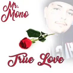 True Love - Single by Mr.mono album reviews, ratings, credits