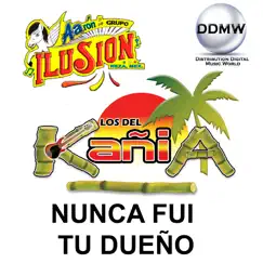 Nunca Fui Tu Dueño (feat. Los del Kania) - Single by Aarón y Su Grupo Ilusión album reviews, ratings, credits