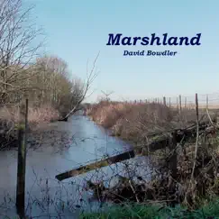 Marshland - EP by David Bowdler album reviews, ratings, credits