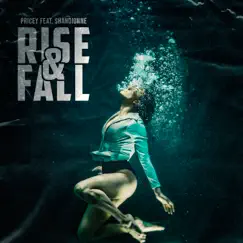 Rise & Fall (feat. ShanDionne) - Single by Pricey album reviews, ratings, credits