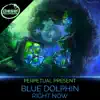 Blue Dolphin / Right Now - Single album lyrics, reviews, download