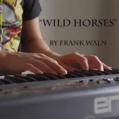 Wild Horses - Single by Frank Waln album reviews, ratings, credits