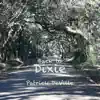 Back to Dixie - Single album lyrics, reviews, download