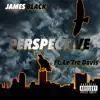 Perspective (feat. Le'tre Davis) - Single album lyrics, reviews, download