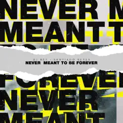 Never Meant To Be Forever (feat. Santiago Reyes) - Single by DJ Bet album reviews, ratings, credits