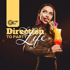 Direction to Party Life by Dj Vibes EDM album reviews, ratings, credits