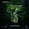 Grams Going Express (feat. Styles P & Sheek Louch) - Single album lyrics, reviews, download
