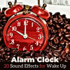 Morning Alarm with Guitar Background Song Lyrics