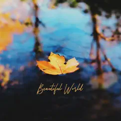 Beautiful World - Single by Drakeford album reviews, ratings, credits