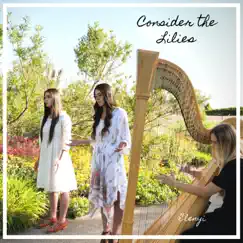 Consider the Lilies - Single by Elenyi album reviews, ratings, credits
