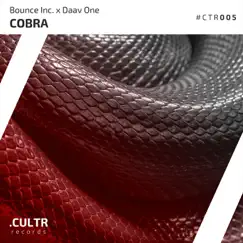 Cobra Song Lyrics