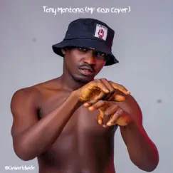 Tony Montana (Mr Eazi Cover) - Single by Sir Ovi album reviews, ratings, credits