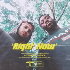 Right Now (feat. TF Woo) - Single by Say Solos album reviews, ratings, credits