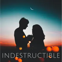 Indestructible - Single by Zachary Nelson album reviews, ratings, credits