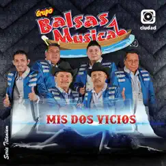 Mis Dos Vicios (Serie Titanium) by Grupo Balsas Musical album reviews, ratings, credits