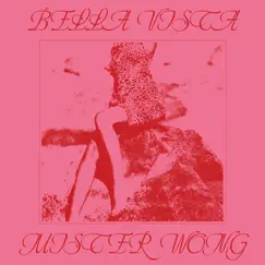 Mister Wong (Jura Soundsystem Extended Edit) Song Lyrics