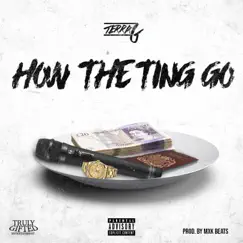 How the Ting Go - Single by Terra G album reviews, ratings, credits